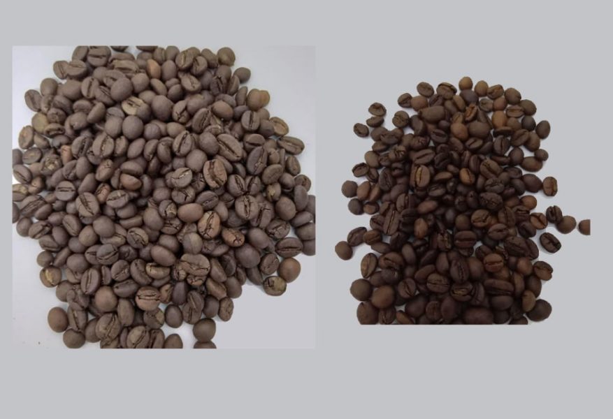 فروش عمده انواع قهوه با بالاترین کیفیت