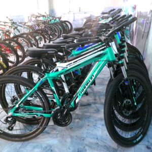دوچرخه تایوانی